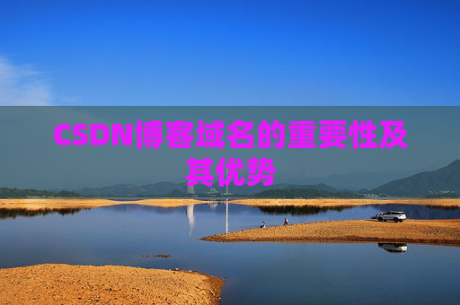 CSDN博客域名的重要性及其优势